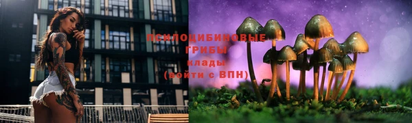 дживик Алексеевка