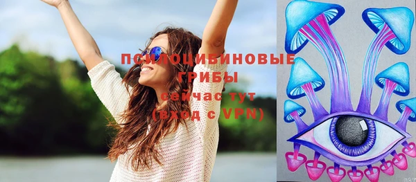 дживик Алексеевка